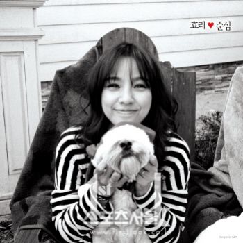 이효리