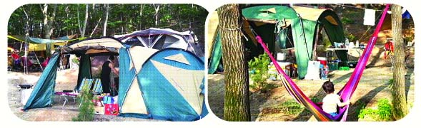 도심에서 가까운 경기 용인시 처인구 원산면 독성리 연미향마을 캠핑장은 숲 속에 텐트를 칠 수 있어 무더위를 씻어주는 캠핑장으로 소문나 있다.