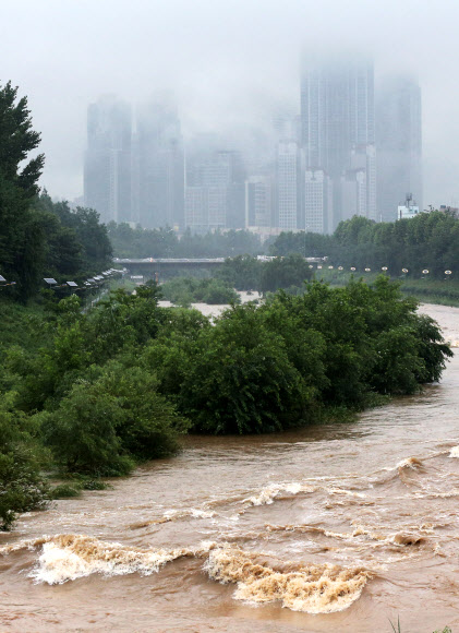 22일 새벽부터 내린 집중호우로 불어난 서울 양재천 물살이 거세게 흐르고 있다.  연합뉴스