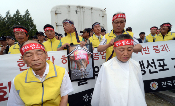 24일 서울 여의도 국회 앞에서 전국한우협회 소속 축산업자들이 소값회복 촉구를 위한 투쟁 선포식을 갖던 중 삭발을 하고 있다.  정연호 tpgod@seoul.co.kr