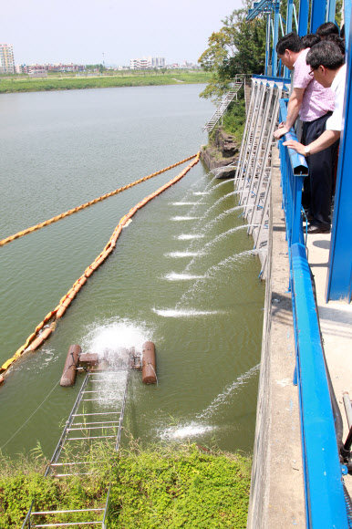 지난달 30일 낙동강 창녕함안보 일대에 조류경보가 내려진 가운데 경남 창원시에에 수돗물을 공급하는 창원시 칠서정수장 취수구 주변에 방지막을 둘러친 데 이어 물레방아 형태의 표면 공기공급 장치로 물결을 일으켜 조류가 취수구 쪽으로 접근하는 것을 막고 있다. 연합뉴스