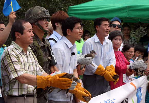 경기도는 13일 연천군 신서면에서 건물에 부딪혀 치료를 받은 천연기념물 황조롱이 5마리와 원앙 3마리를 자연으로 돌려보냈다. 연합뉴스
