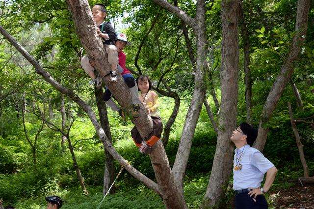 전국 최초로 비장애·장애아동 통합 숲교실을 운영하고 있는 전남 여수의 베타니아 특수 어린이집에서 아이들이 나무 위에 올라가 놀고 있다.