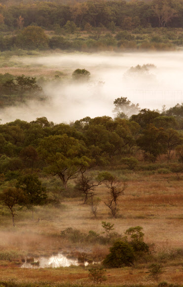 철원평야 비무장지대(DMZ)의 아침. 2013년 가을 강원도 철원군 중부전선.  연합뉴스