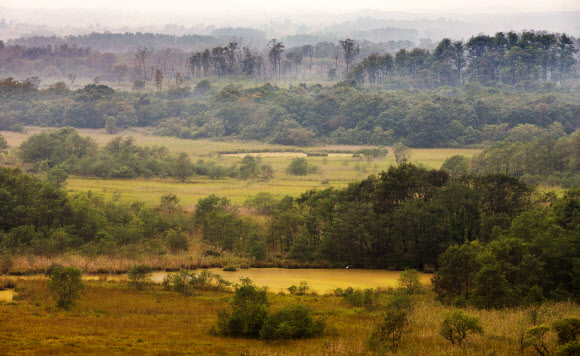 안개 낀 철원지역 비무장지대(DMZ). 육안으로 확인하기 어렵지만 궁예성터를 군사분계선(MDL)이 절반으로 가르며 지나간다고 한다. 2013년 가을 강원도 철원군 중부전선. 연합뉴스
