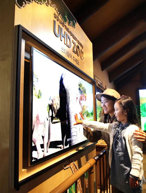 국내 최대 생태형 사파리 에버랜드 ‘로스트 밸리’를 방문한 어린이가 7일 삼성 울트라 고화질(UHD) TV 화면 속 코끼리를 쓰다듬고 있다. 삼성전자 제공