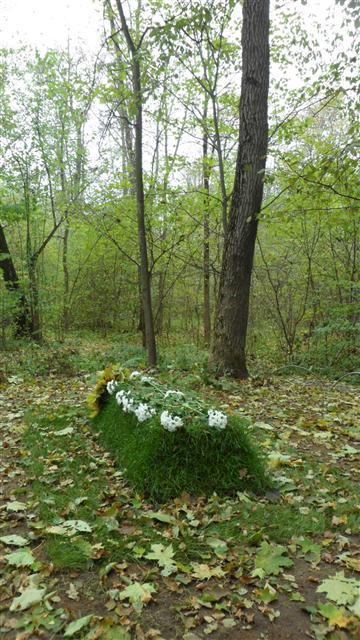 묘비 하나 없는 톨스토이의 소박한 무덤.