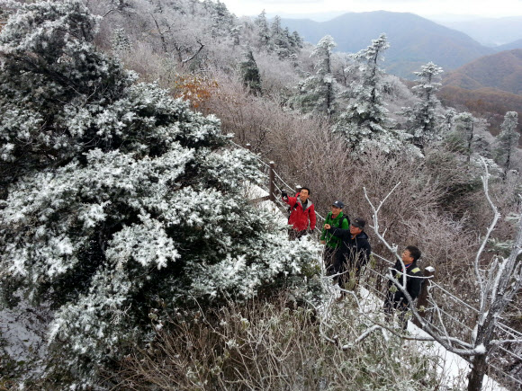강원 산지에 전날 내린 눈으로 16일 오전 강원 평창군 용평면 발왕산 정상(해발 1,458m)에 한겨울 같은 눈꽃이 활짝 핀 가운데 등산객이 설경을 감상하고 있다. 연합뉴스