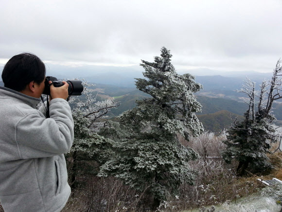 강원 산지에 전날 내린 눈으로 16일 오전 강원 평창군 용평면 발왕산 정상(해발 1,458m)에 한겨울 같은 눈꽃이 활짝 핀 가운데 등산객이 설경을 사진에 담고 있다. 연합뉴스