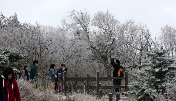 강원 산지에 내린 눈으로 16일 강원 평창군 발왕산 정상(해발 1천458m)에 한겨울 같은 눈꽃이 활짝 핀 가운데 관광객들이 사진을 찍으며 겨울의 낭만을 만끽하고 있다. 연합뉴스