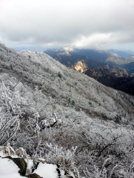 설악산국립공원 대청봉과 중청봉 일대에 16일 오후 백색 세상이 연출되고 있다. 설악산을 비롯해 오대산과 발왕산 등 강원 영동산간에는 지난 15일 올가을 첫눈이 내렸다.  설악산국립공원사무소