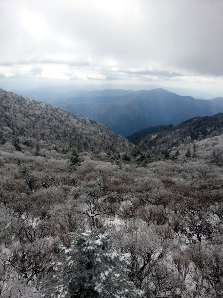 설악산국립공원 대청봉과 중청봉 일대에 16일 오후 백색 세상이 연출되고 있다. 설악산을 비롯해 오대산과 발왕산 등 강원 영동산간에는 지난 15일 올가을 첫눈이 내렸다. 설악산국립공원사무소 제공