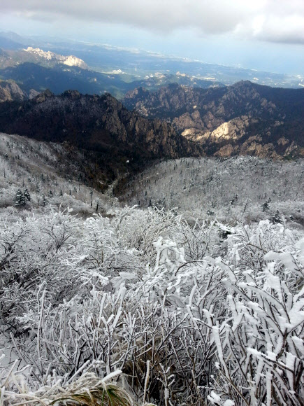 설악산국립공원 대청봉과 중청봉 일대에 16일 오후 백색 세상이 연출되고 있다. 설악산을 비롯해 오대산과 발왕산 등 강원 영동산간에는 지난 15일 올가을 첫눈이 내렸다.  설악산국립공원사무소 제공