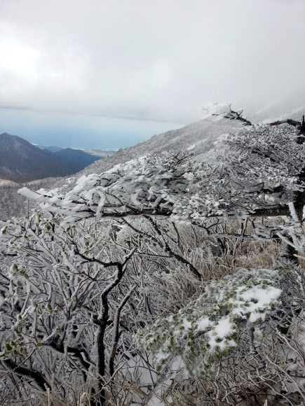 설악산국립공원 대청봉과 중청봉 일대에 16일 오후 백색 세상이 연출되고 있다. 설악산을 비롯해 오대산과 발왕산 등 강원 영동산간에는 지난 15일 올가을 첫눈이 내렸다.  설악산국립공원사무소 제공