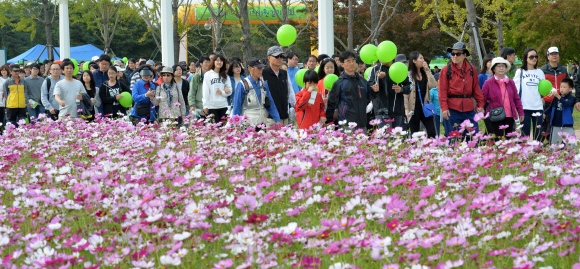 19일 서울 마포구 상암동 올림픽공원 평화의광장에서 열린 서울신문 주최, 마약퇴치기원 걷기대회 참가자들이 만개한 코스모스밭 옆을 지나며 가을정취를 만끽하고 있다. 손형준 기자 boltagoo@seoul.co.kr