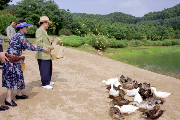 오는 6일부터 17일까지 청남대서 역대 영부인 사진·사용물품 기획전시회열린다. 사진은 청남대에서 휴가 보내는 김대중 전 대통령과 영부인 이희호 여사. 국가기록원 제공