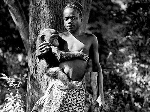 1906년 미국 뉴욕 브롱크스 동물원에 한갓 동물처럼 전시된 아프리카 피그미족.