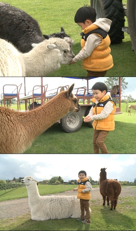 김민율 뉴질랜드. / MBC