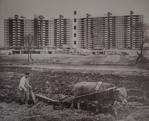 1978년 압구정동 현대아파트 앞에서 농부가 밭을 가는 모습. 전민조의 ‘압구정동 밭갈이’에서