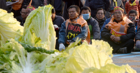 22일 오후 농민집회에 참가한 농민들이 서울역에서 시청광장으로 행진 배춧값 폭락에 항의하며 버려진 배추너머에 앉아 있다.  박지환 popocar@seoul.co.kr