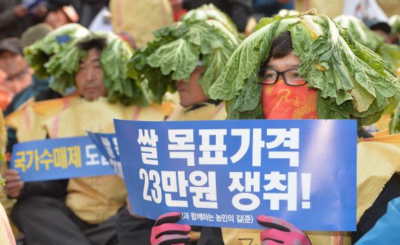 22일 오후 서울 시청광장에서 열린 농민집회에 참가한 농민들이 배춧값 폭락에 항의하며 피켓을 들고 있다.  박지환 popocar@seoul.co.kr
