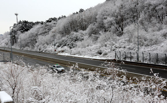 27일 대설특보와 함께 많은 눈이 내린 대관령을 비롯한 백두대간 일원이 하안 눈에 덮여 있다. 사진은 영동고속도로 대관령 구간의 모습이다.  연합뉴스