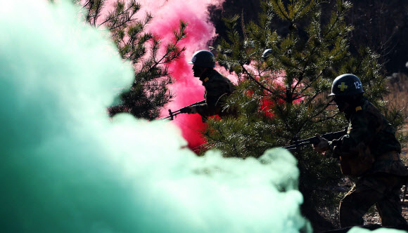 충남 논산 육군훈련소 훈련병들이 2일 훈련장에서 각개전투 훈련을 받고 있다. 연합뉴스