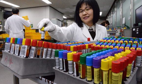 서울서부혈액원 공급팀 직원들이 혈액형과 각종 바이러스 감염 상태를 검사하기 위한 혈액 검체를 정리하고 있다. 