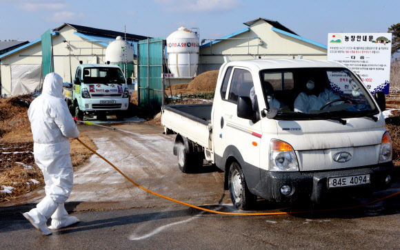전북 부안군 공무원과 자원봉사자들이 22일 오후 살처분  대상인 부안군 줄포면 한 오리농장 주변을 방역하고 있다. 연합뉴스