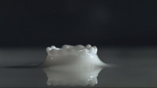 EBS ‘우유, 소젖을 먹는다는 것에 대하여’ 방송장면