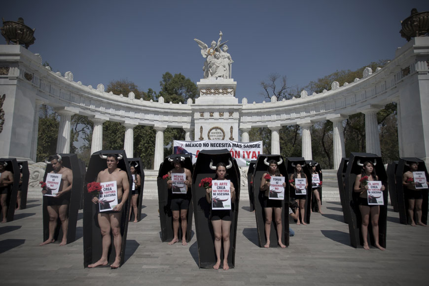 동물보호단체 아니마나투랄리스 단원들이 2일(현지시간) 멕시코 수도 멕시코시티에서 투우 반대 시위를 펼치고 있다.  멕시코시티=신화/뉴시스