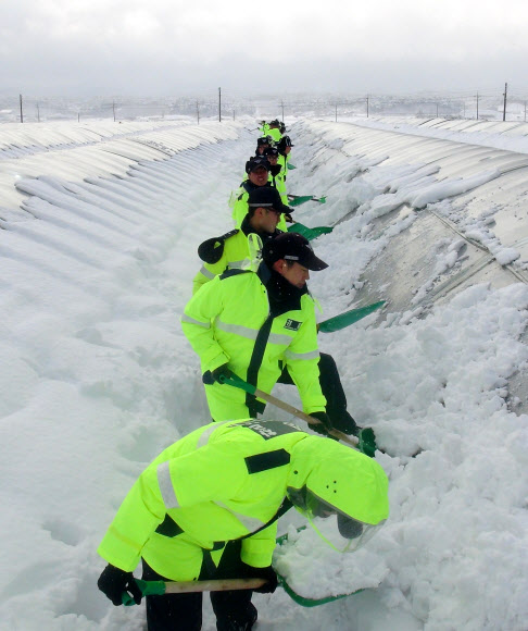 비닐하우스에 쌓인 눈 치우는 의경
