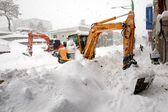 눈 정말로 많이 왔네
