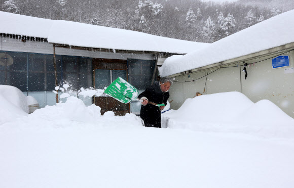 왕산골 외딴집의 할아버지