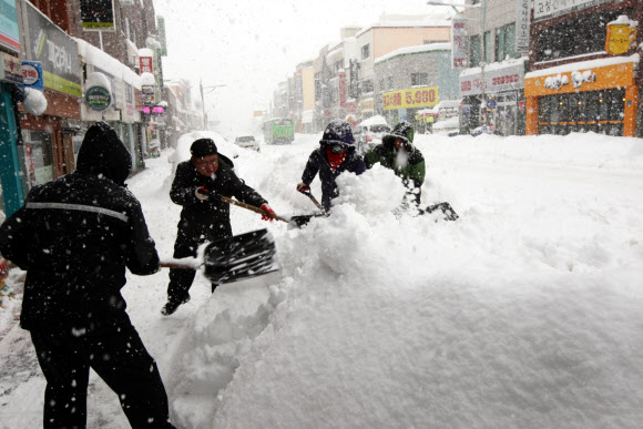 눈 정말로 많이 왔네
