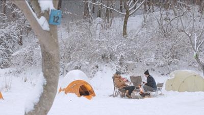 캠핑족 200만명 시대에 주말이면 산과 들의 캠핑장에는 빼곡히 텐트들이 들어선다. 하지만 자연에는 돌이킬 수 없는 상처를 남기기도 한다.<br>EBS 제공