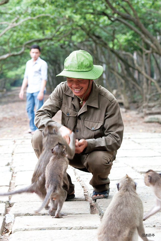 악어보호구역에서 볼 수 있는 악어와 공원관리인이 주는 생고구마를 먹으려는 긴꼬리원숭이들