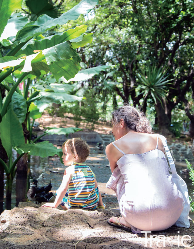 야생 동물은 물론이고 다양한 야생 식물을 접할 수 있는 카젤라 공원은 가족 여행객들에게 안성맞춤