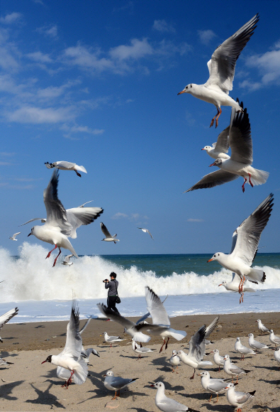 봄의 향기 가득한 동해바다.