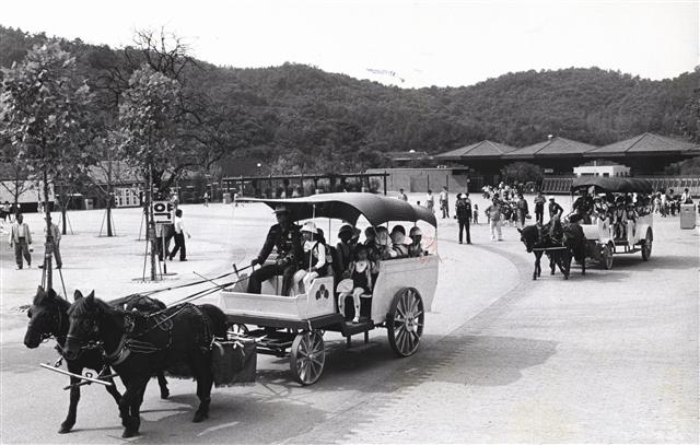 대공원 개원 초기엔 쌍두마차가 어린이들에게 인기를 끌었다.
