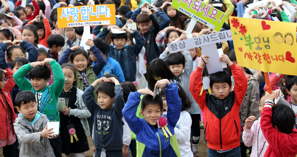 병아리들의 사랑 표현