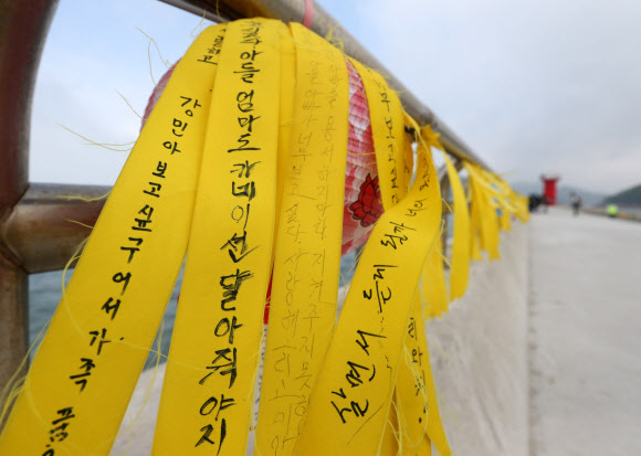 ‘아들, 엄마도 카네이션 달아줘야지’