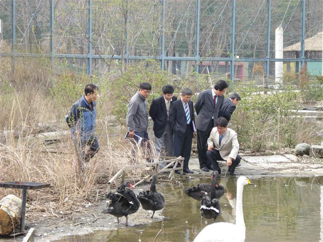 국내 조류 질병 전문가들이 경기 과천시 막계동 서울동물원 큰물새장을 찾아가 현장에서 역학조사를 벌이고 있다. 서울동물원 제공