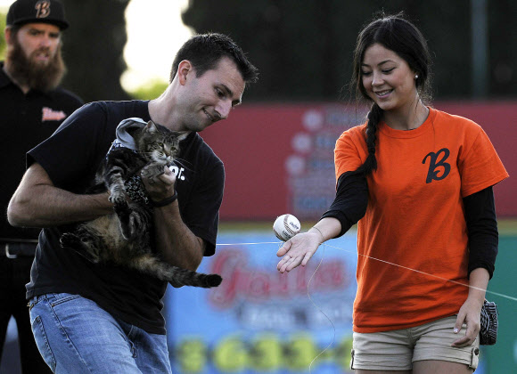 시구에 앞서 연습 중인 고양이 ‘타라’ ⓒ AFPBBNews=News1 
