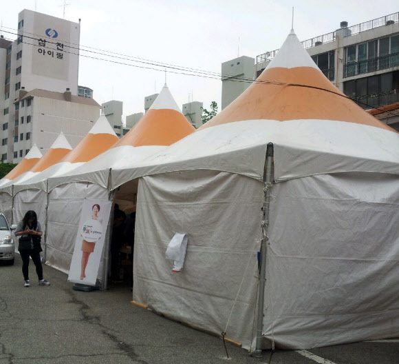몽골텐트가 투표소
