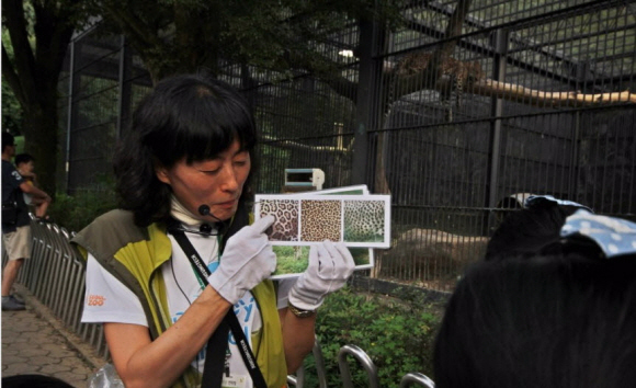 한 자원봉사자가 호랑이, 표범, 재규어 무늬를 구별하는 법을 관람객들에게 가르쳐주고 있다.