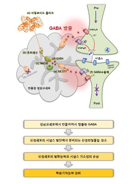 기억장애 원인. / 미래창조과학부