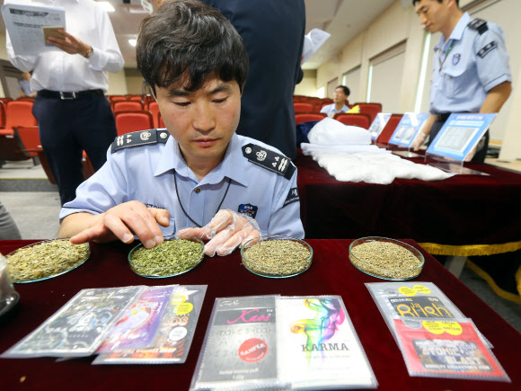 마약 같지 않은 신종 합성 대마류 밀수 급증