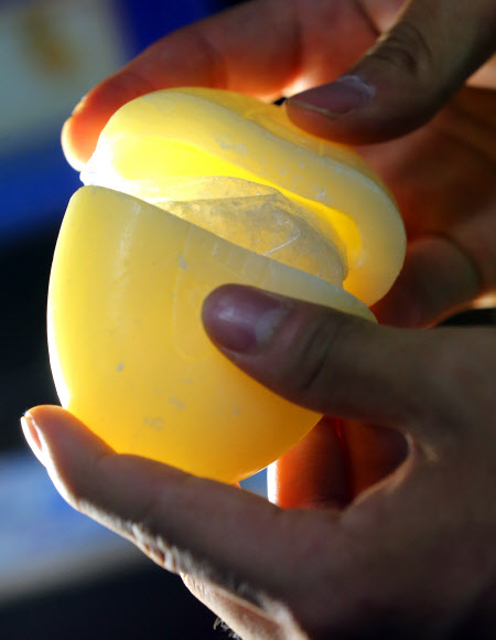 비누 속에 넣어 밀수하다 적발된 마약