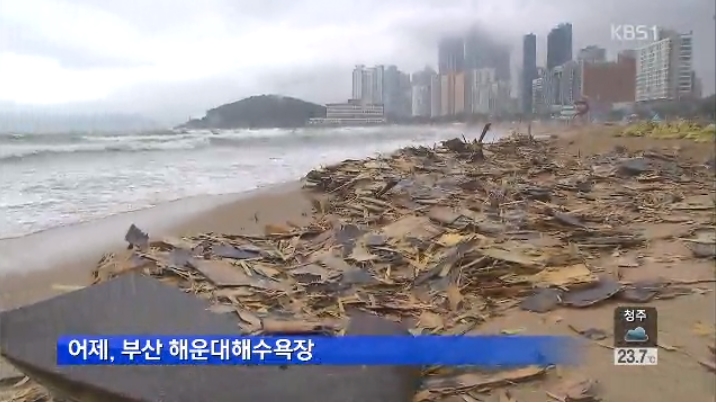 해운대 폐목재. / KBS